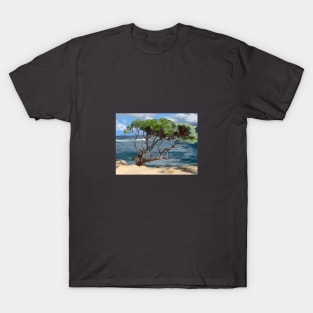 Lāʻie Point State Wayside T-Shirt